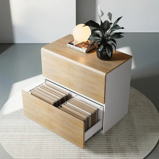 Modern Filing Cabinet – 2 Drawers &amp; 2 Doors with Walnut Accents