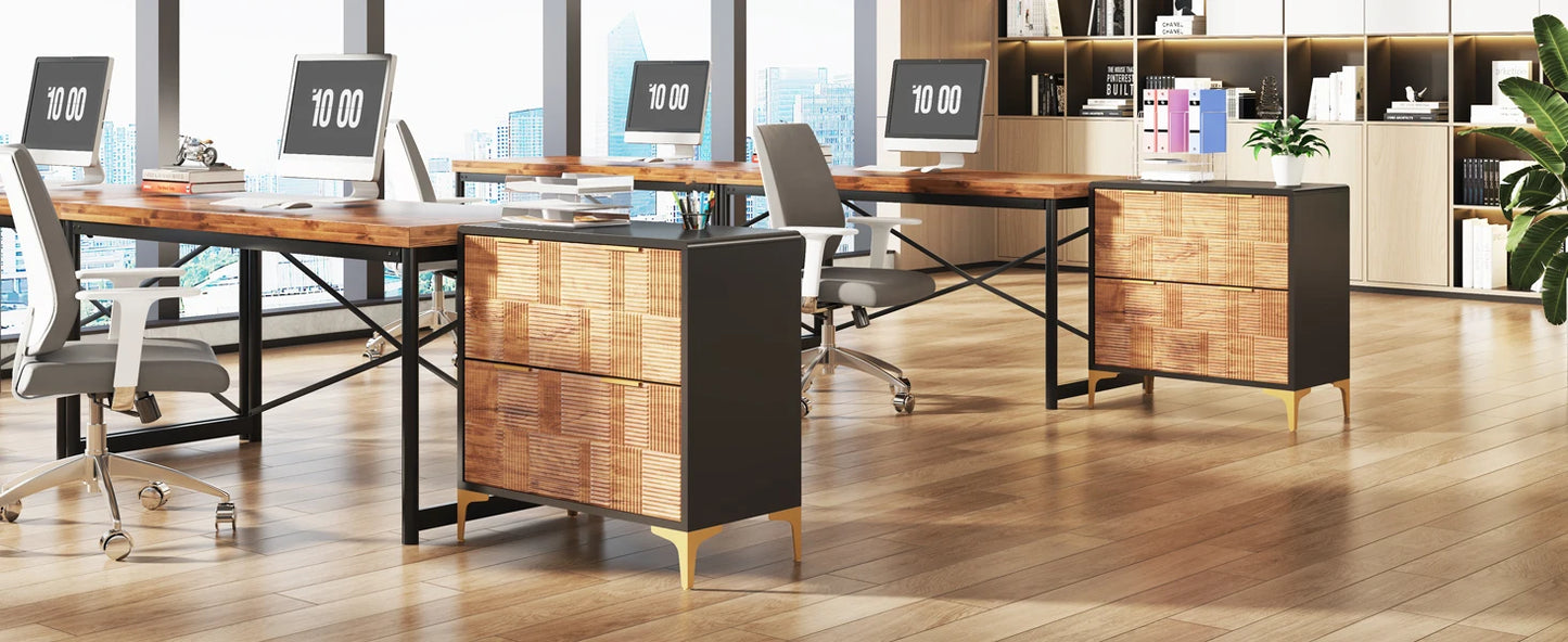 Modern 2-Drawer Lateral File Cabinet – Wood Grain Finish with Adjustable Storage