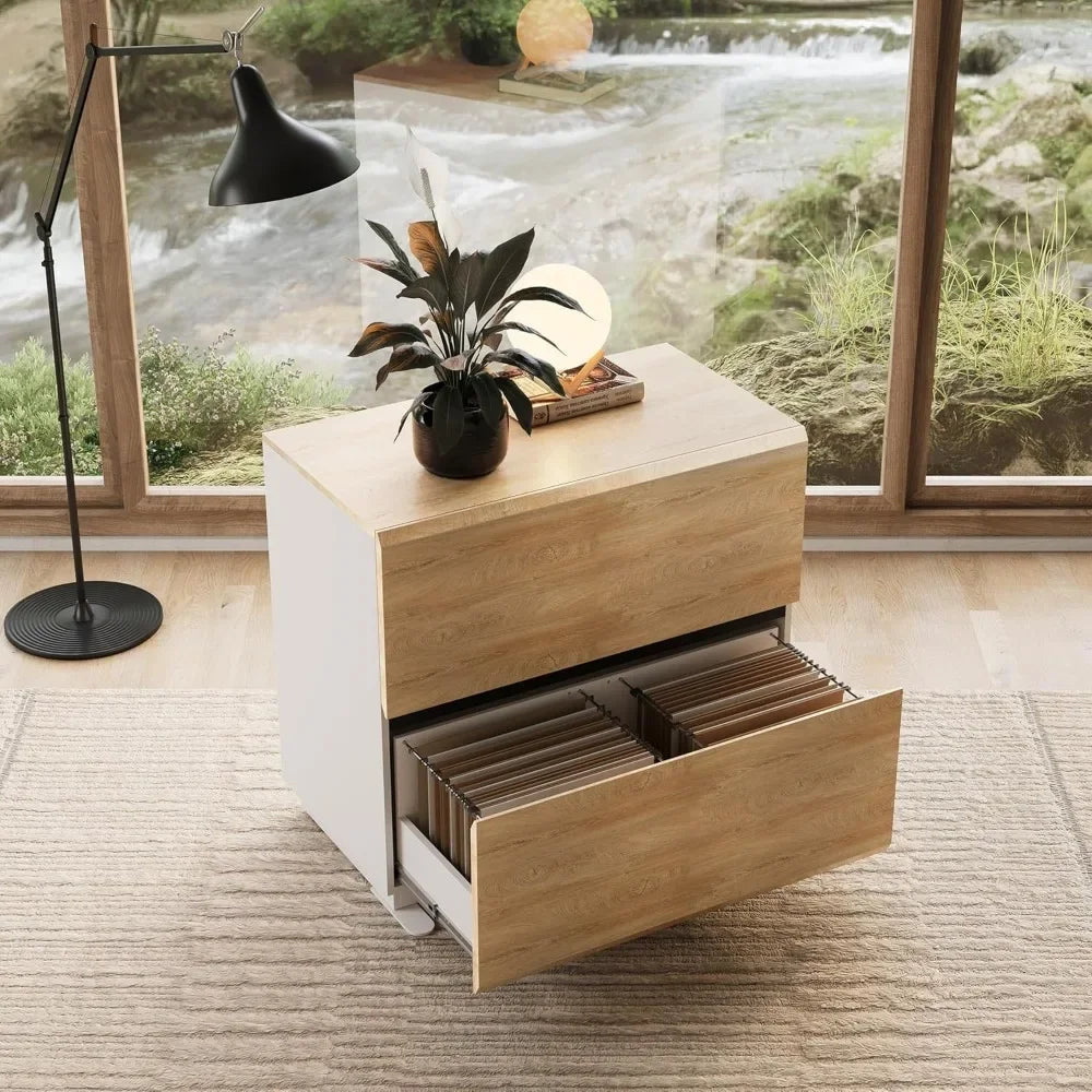 Modern Filing Cabinet – 2 Drawers &amp; 2 Doors with Walnut Accents